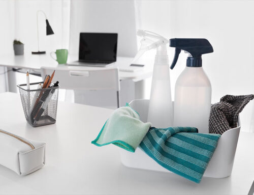 New Year Cleaning in Boca Raton | Start a Recurring Cleaning Plan